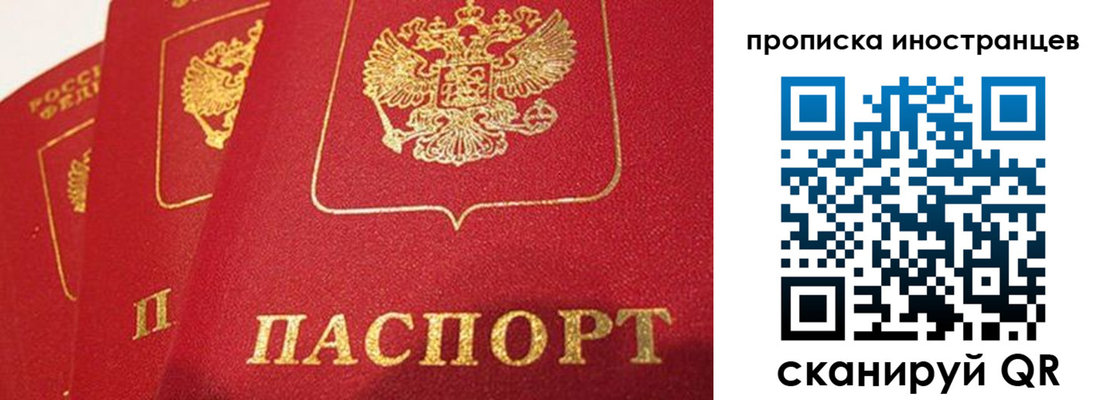 прописка поиск в Новомичуринске